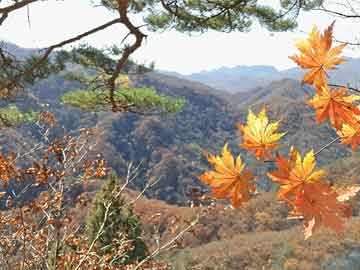 东风风神s30车怎么样